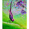 Tanz der Libelle, 100 x 120 cm, Acryl auf Leinwand